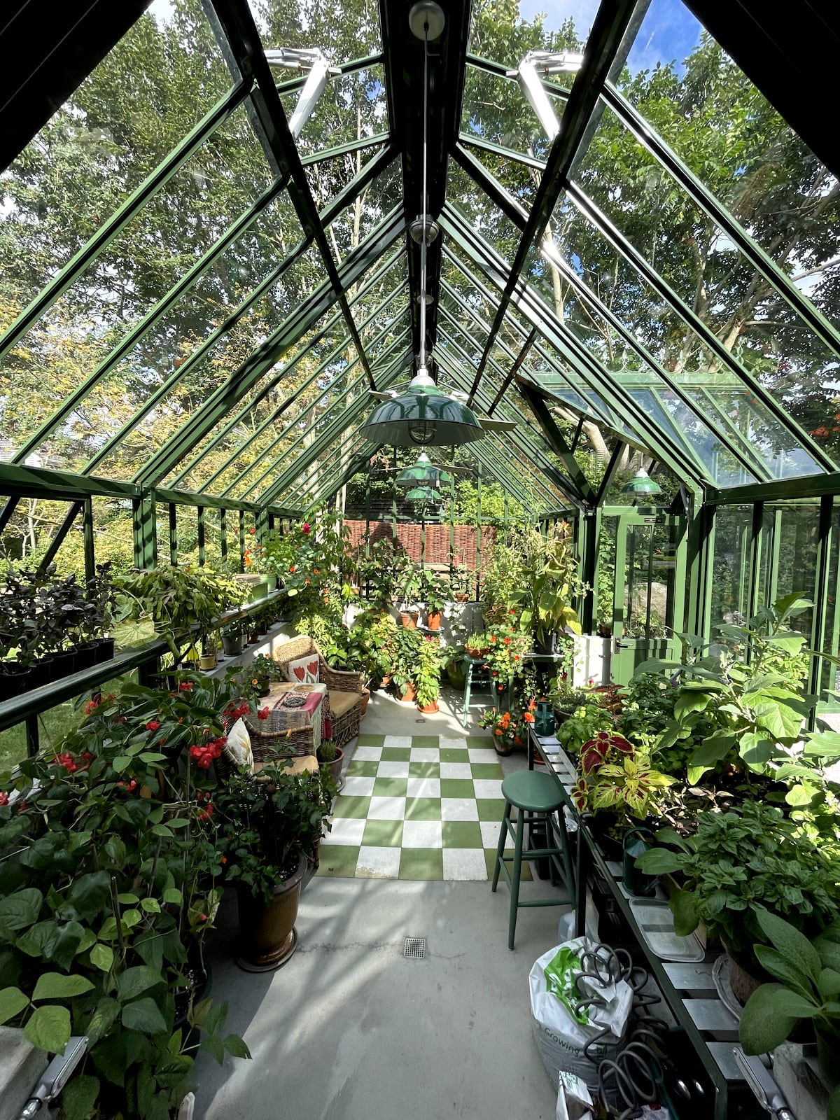 Green pendant lights hung in a glass greenhouse